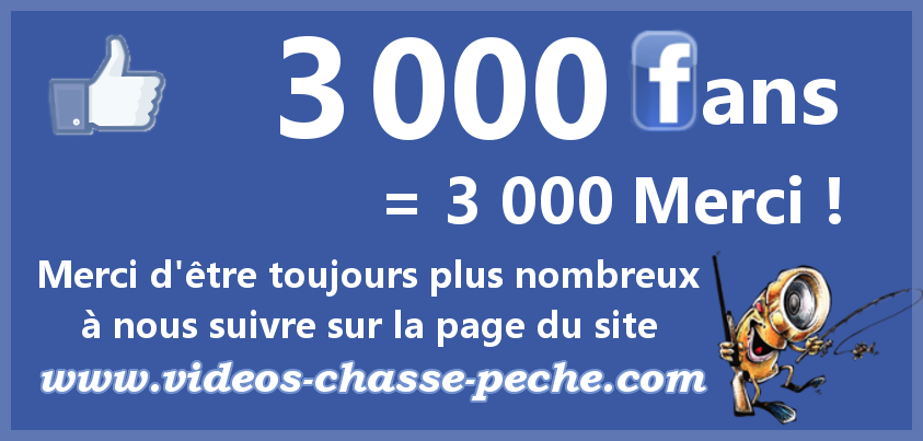 Facebook VCP 3 000 "J'aime"